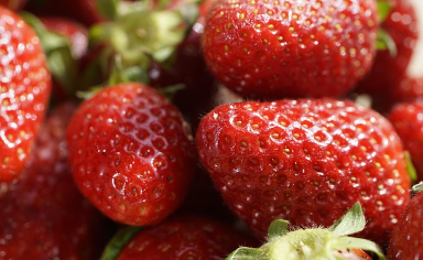 Bald gibt es Erdbeeren